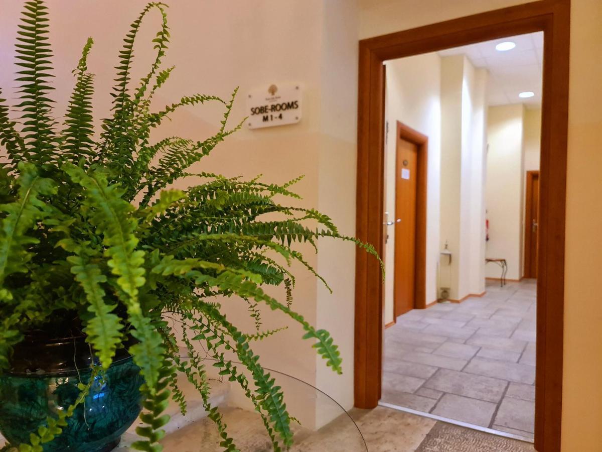 Hotel Stara Sola - Oleander Resort Korte Dış mekan fotoğraf